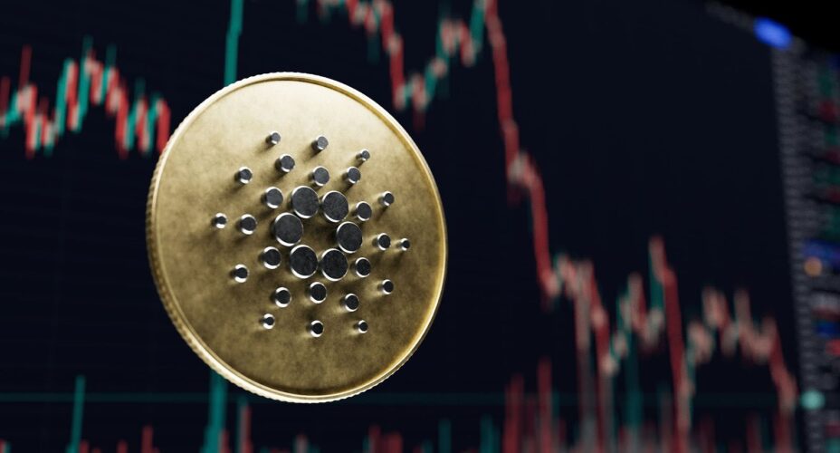 Investors Secure 10X Potential on Borroe Finance Presale as ADA and LTC Trade Higher Amid Market Uptrend