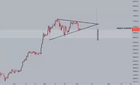 Bitcoin Eyes New ATH of $82,000 as Bullish Pennant Takes Shape; Filecoin Contender Witnesses Heightened Institutional Interest