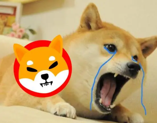 Looking Beyond Shiba Inu? XYZ Promises x2000 Gains with All-Sports Appeal