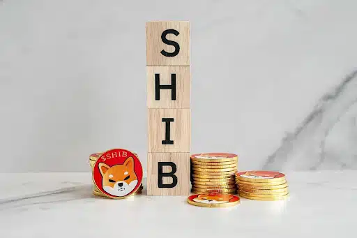 Why Shiba Inu Successor is the Investor's Choice for Maximizing Returns in Feb 2024