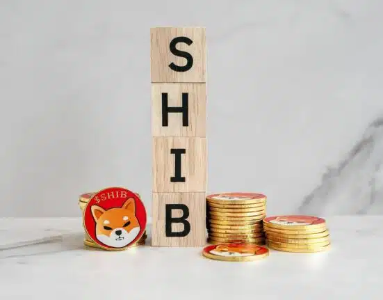 Shiba Inu Access: Robinhood & MetaMask Partnership