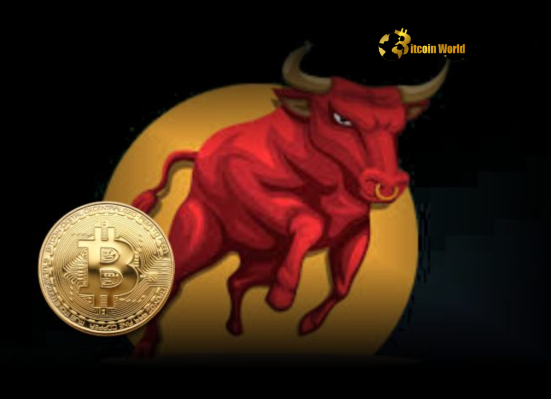 Unstoppable Why the Current Bitcoin Bull Cycle Appears More Robust