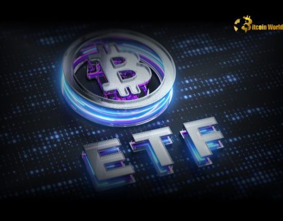 U.S. Spot Bitcoin ETFs See $429.52M in Net Inflows on December 13