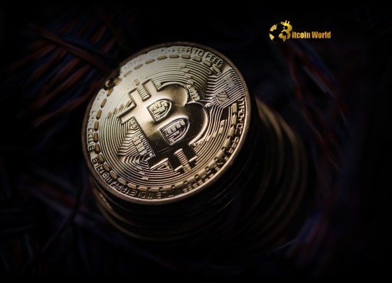 US Spot Bitcoin ETF Inflows: $427M Surge Signals Strong Market Confidence