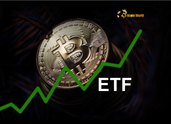 US Spot Bitcoin ETF Inflows Surge $165.77M Ignites Hope in Crypto Market