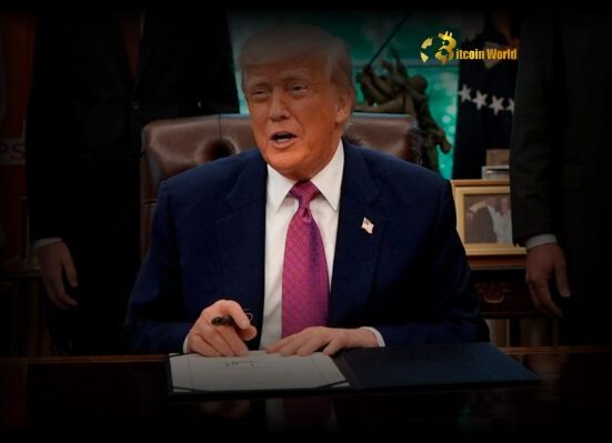 US Tariffs Crucial Appeal Challenges Executive Power Ruling