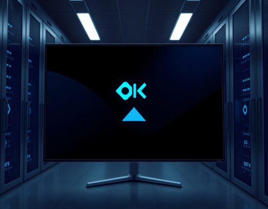 Cryptocurrency wallet transferring USDT to OKX exchange representing $219 million transaction