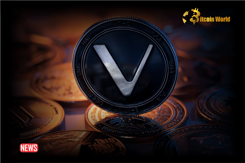 VeChain (VET) Rises More Than 7% In 24 hours