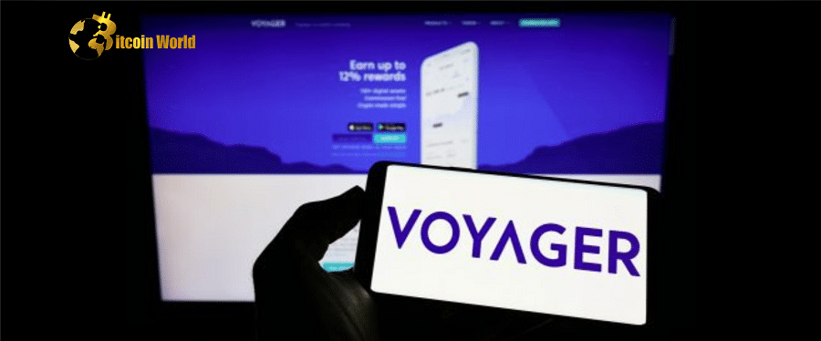 Voyager Victim Calls for Trustee to Seize Control of the Estate