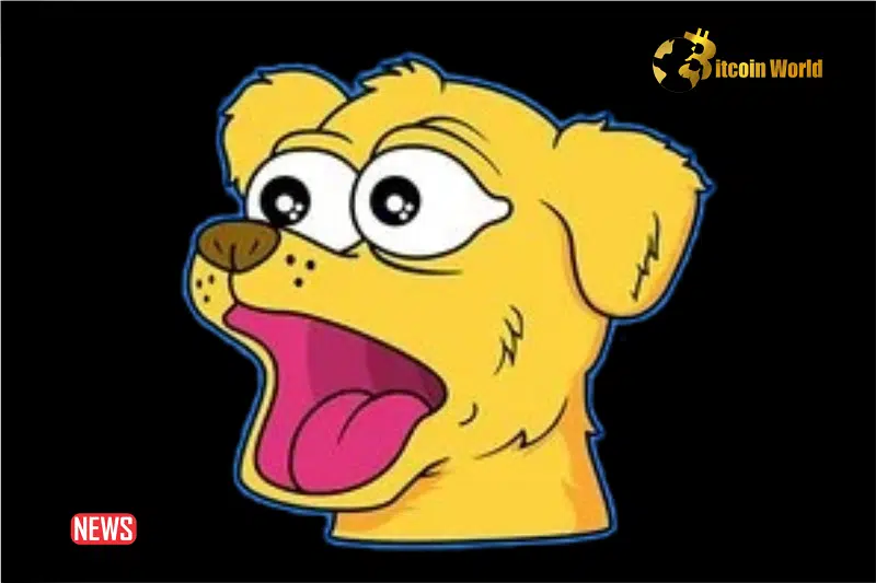 Safety Concern As BNB Chain Token, WEWE, Experiences A Rugpull