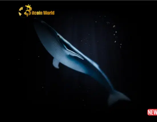 Bitcoin Whales Go on a Buying Spree Amidst Market Dip: What Does It Mean?