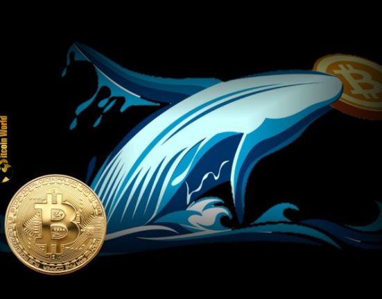 Five whales accumulate $192.4M in BTC despite price drop below $70K.