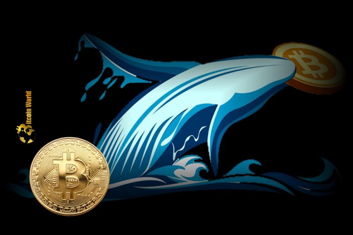 Five whales accumulate $192.4M in BTC despite price drop below $70K.