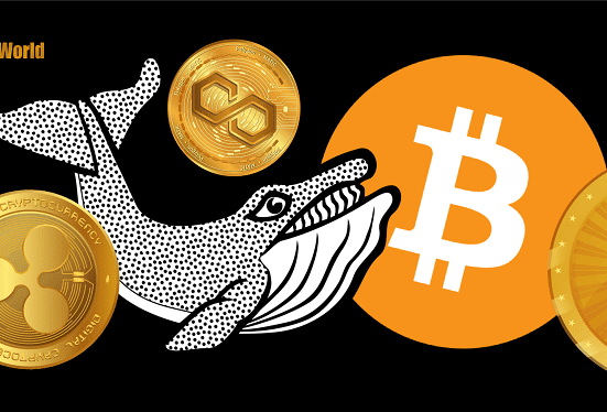 Crypto Whales Move Over $317,000,000 in Bitcoin, Ethereum, XRP, and Polygon – Here’s Where It’s Headed