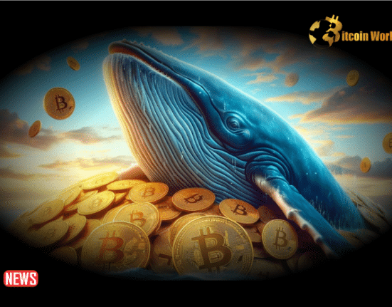 Bitcoin Whales Continue Buying, Now Hold 25.16% Of All BTC Supply