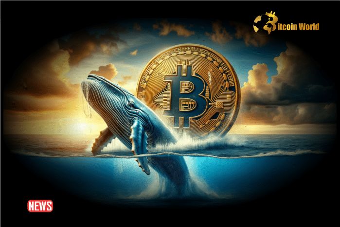 Billionaire Whale Deposits Over $147,980,000 in Crypto to Kraken As Bitcoin (BTC) Kicks Off May With More Red
