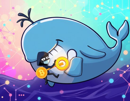 Cartoon of a distressed crypto whale losing a private key to a hacker in a digital ocean.
