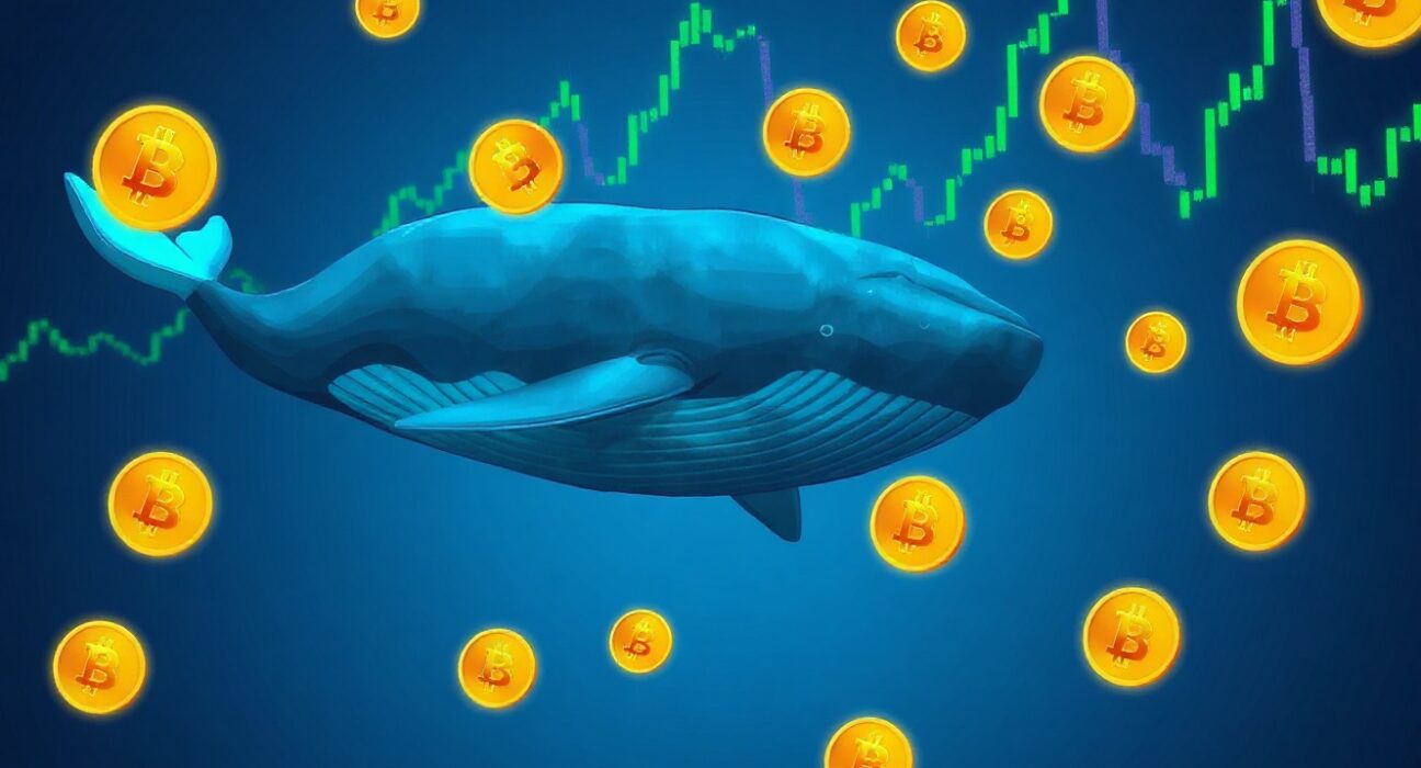 Digital whale swimming through Bitcoin and chart symbols representing a profitable trade.