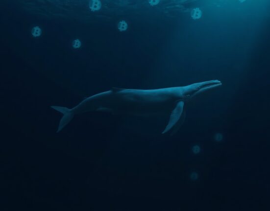 Whale swimming in dark ocean with glowing Bitcoin symbols, representing a crypto investor loss.