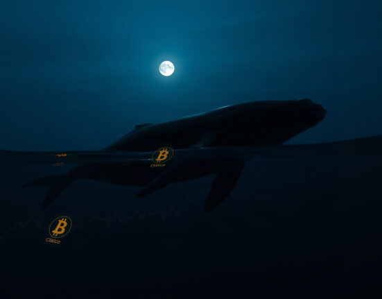 Illustration of a whale in the ocean with digital cryptocurrency symbols, representing a large crypto trade.
