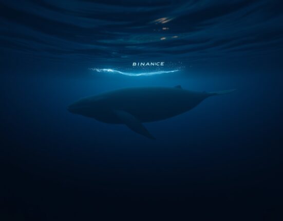 Whale swimming underwater representing a large cryptocurrency holder withdrawing WLFI tokens from Binance exchange.