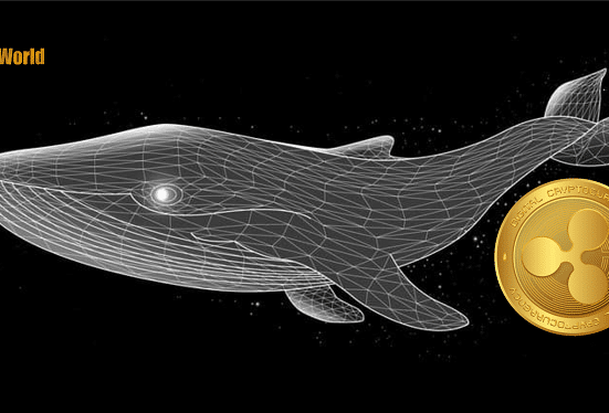 XRP Network’s Whale Holdings Surge, Suggesting Potential Future Price Growth