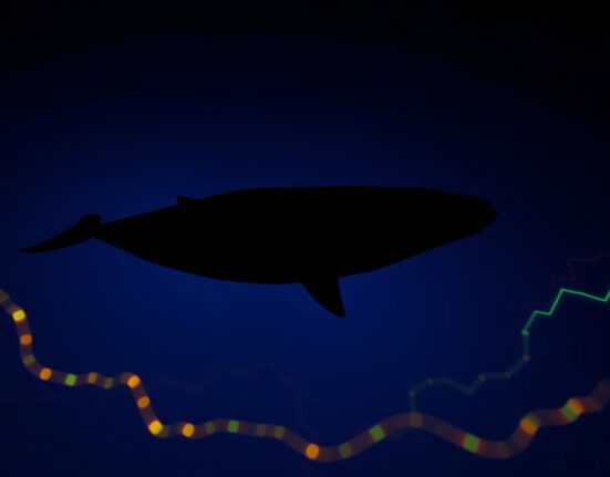 A whale swimming through a digital ocean with blockchain data streams, representing large cryptocurrency investors.