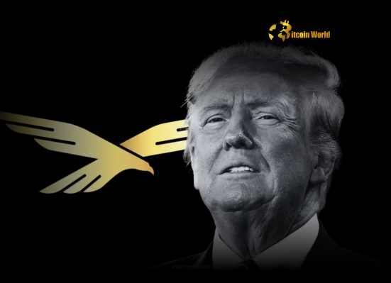 WLFI Advisor Issues Crucial Clarification on TRUMP Memecoin Separation