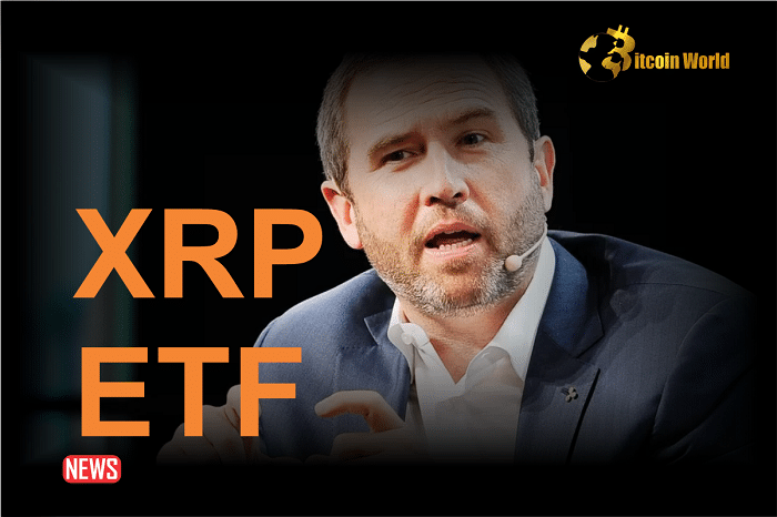 Ripple CEO Brad Garlinghouse Says It “Makes Sense” To Have XRP ETF