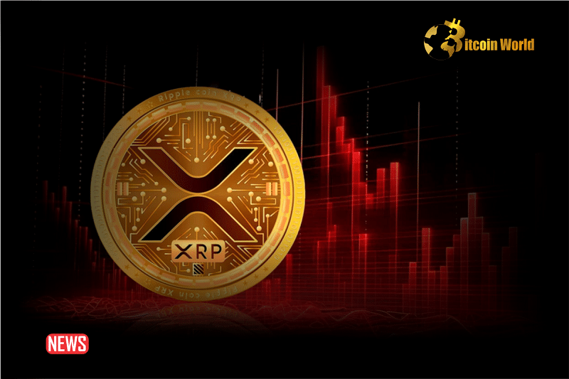 XRP Falls More Than 5% In 24 hours