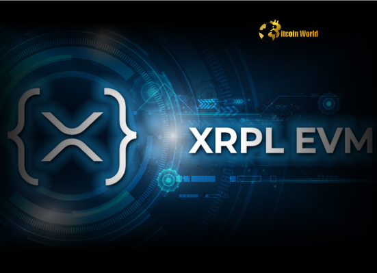 XRP Ledger EVM: Unleashing a New Era for DeFi and Smart Contracts