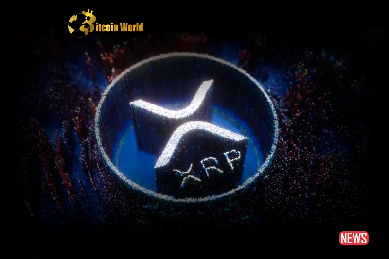 50,000 XRP to Millionaire Status? Decoding the Crypto Analyst's Bold Prediction