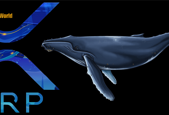 Ripple Whales Transfer One Billion XRP, Is a Price Dump Incoming?