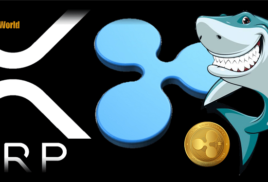 Could XRP Whale Movements Shift Prices Above This Key Level?